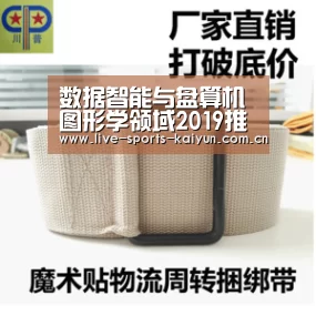 数据智能与盘算机图形学领域2019推荐论文列表（附链接）“开元体育app”