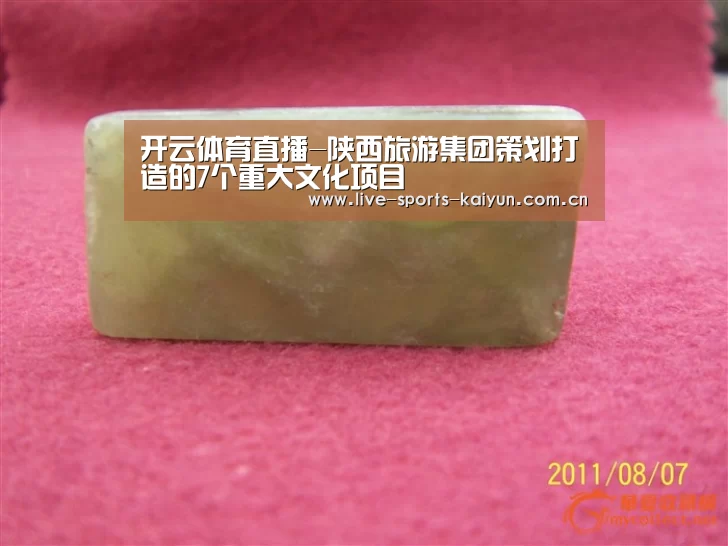 开云体育直播-陕西旅游集团策划打造的7个重大文化项目