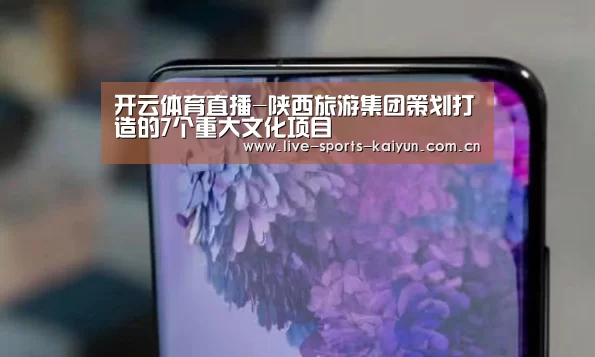 开云体育直播-陕西旅游集团策划打造的7个重大文化项目(图3) 开元体育