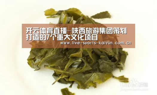 开云体育直播-陕西旅游集团策划打造的7个重大文化项目(图4) 开云体育直播