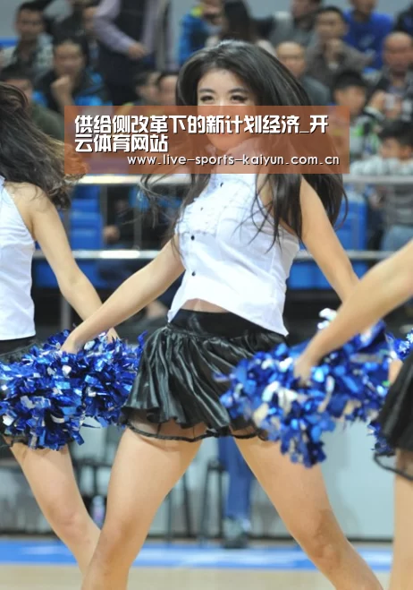 供给侧改革下的新计划经济_开云体育网站(图1) 开云体育网站