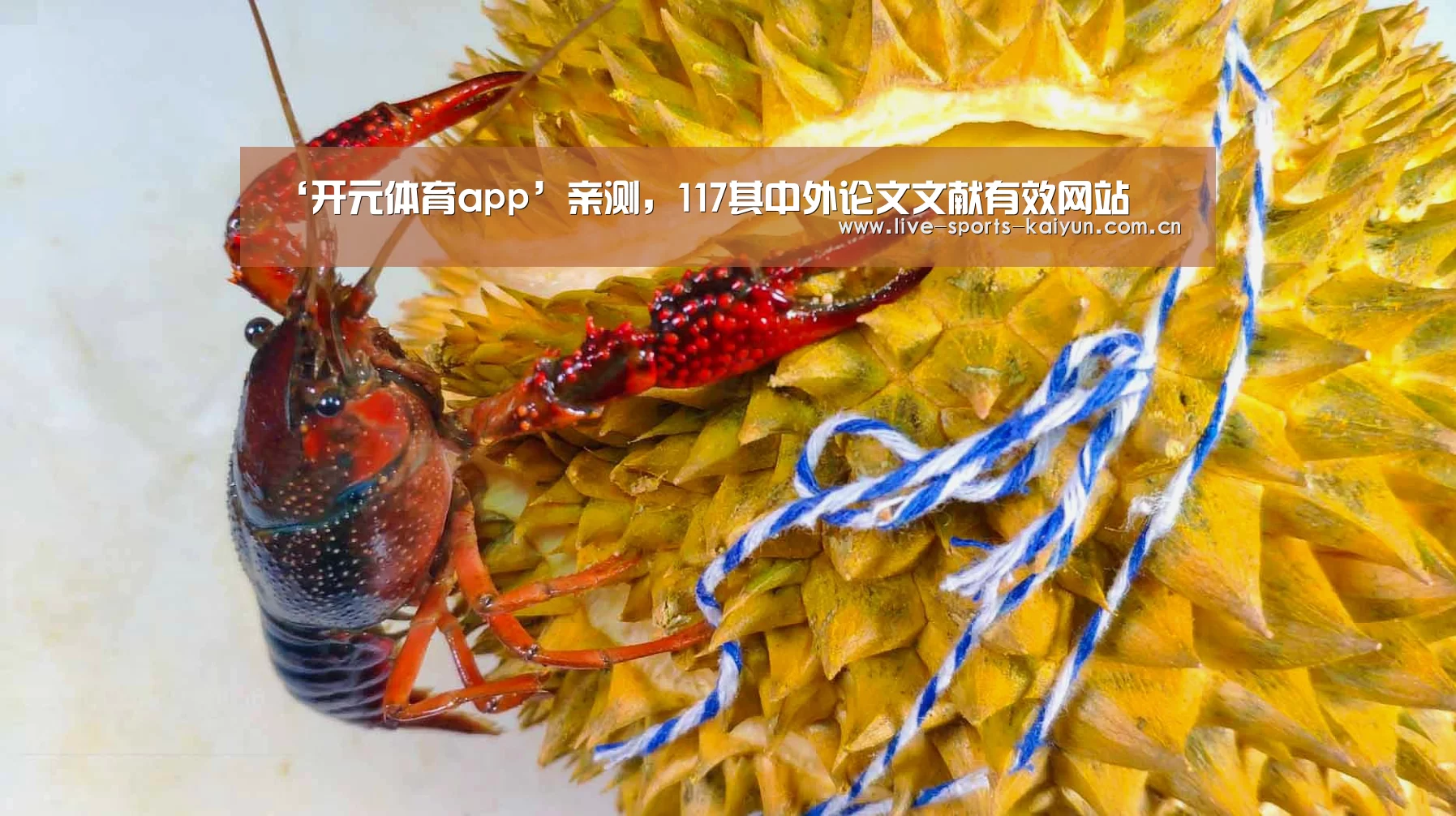 开元体育app
