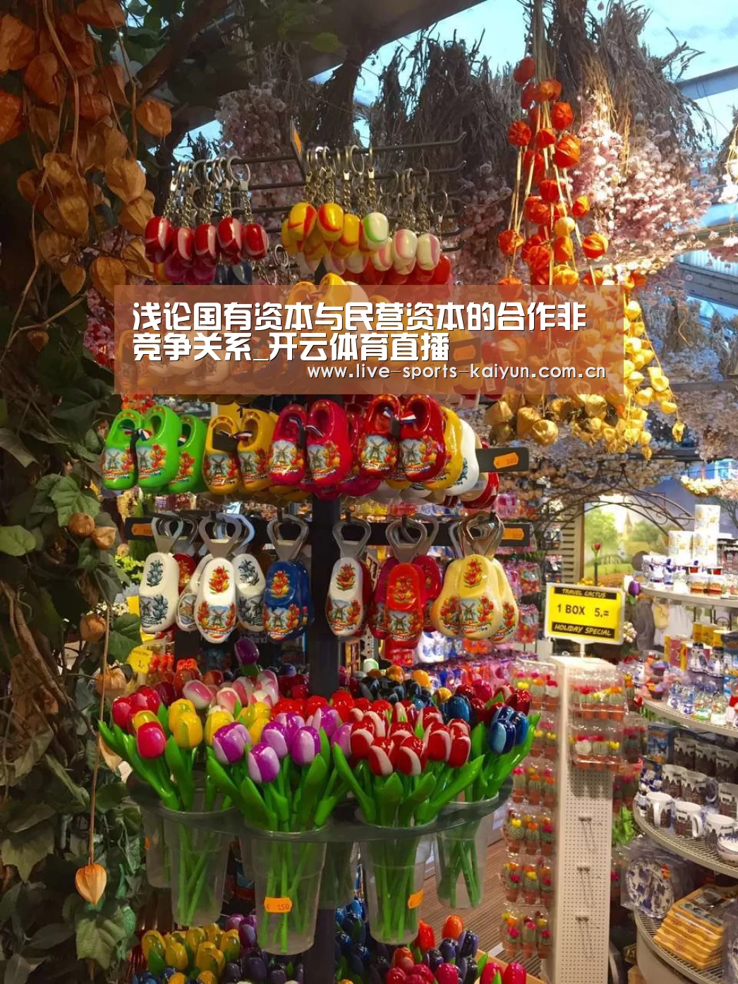 浅论国有资本与民营资本的合作非竞争关系_开云体育直播